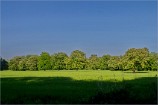 Lobau 07.05.11 0109